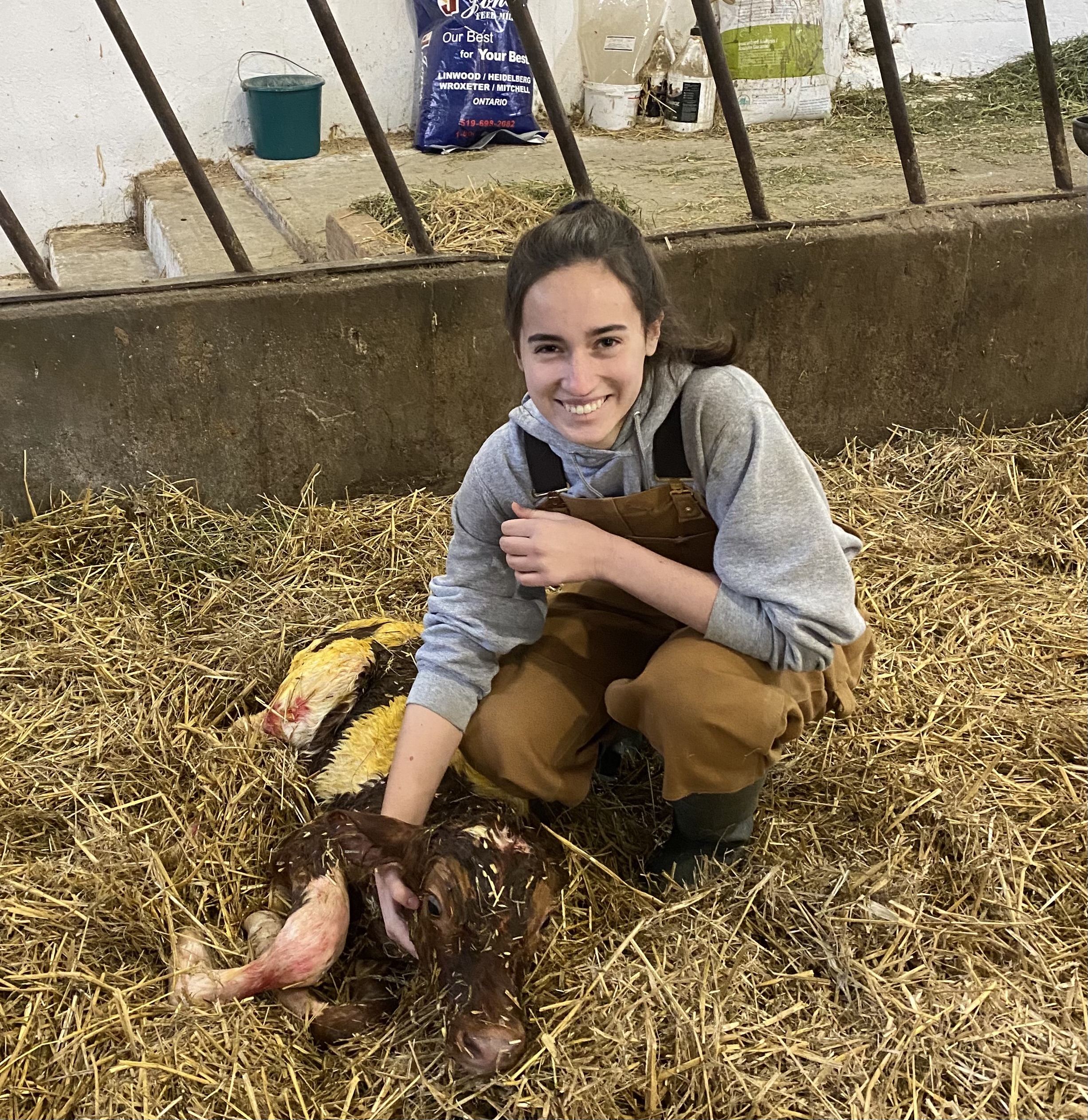 Olivia with newborn calf